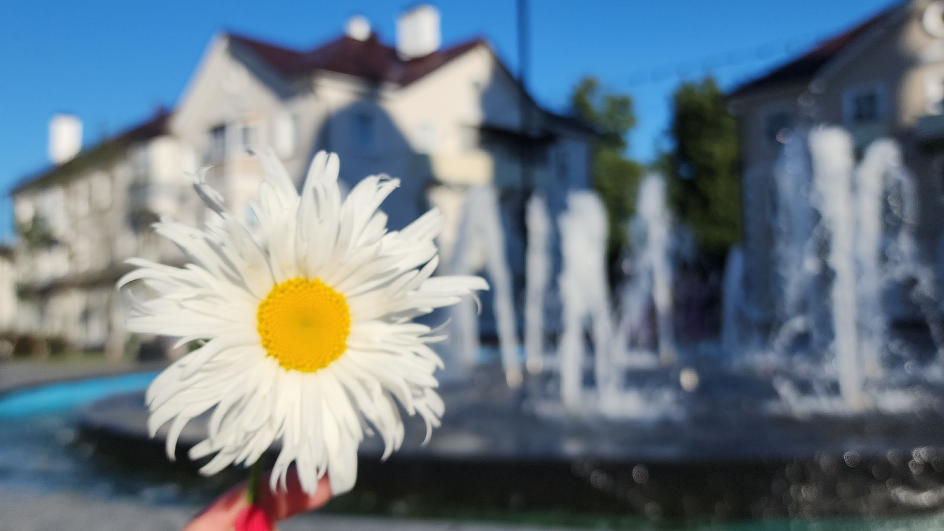 8 июля, день семьи любви и верности, электросталь, мой город, жители города, праздник,