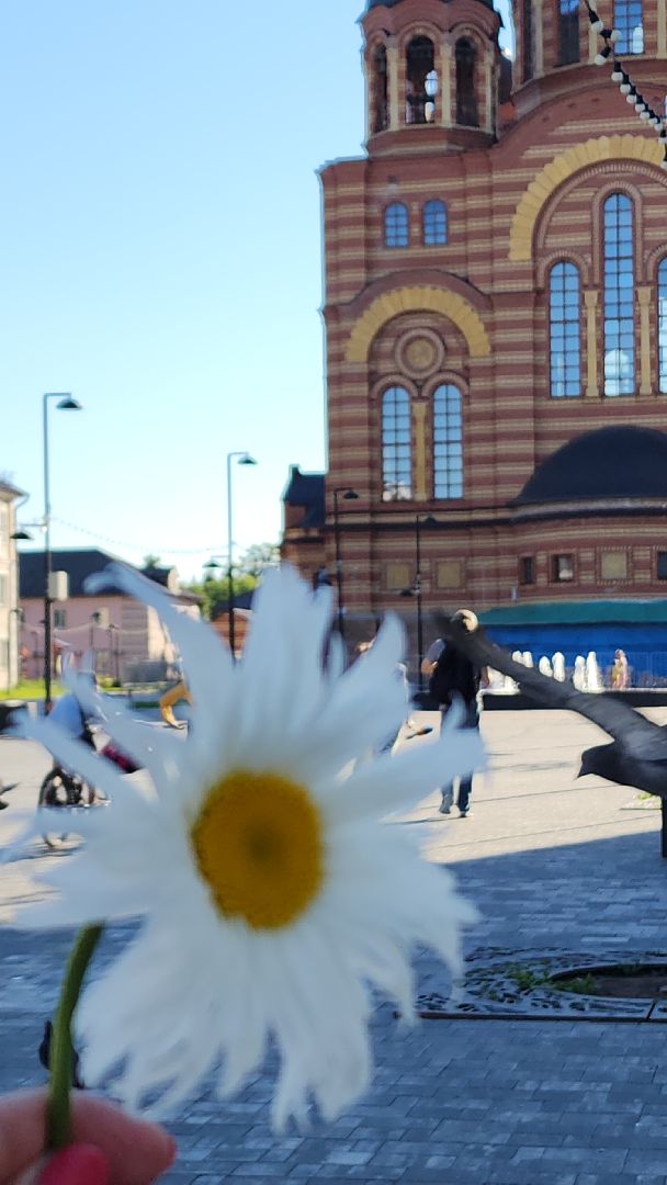 8 июля, день семьи любви и верности, электросталь, мой город, жители города, праздник,