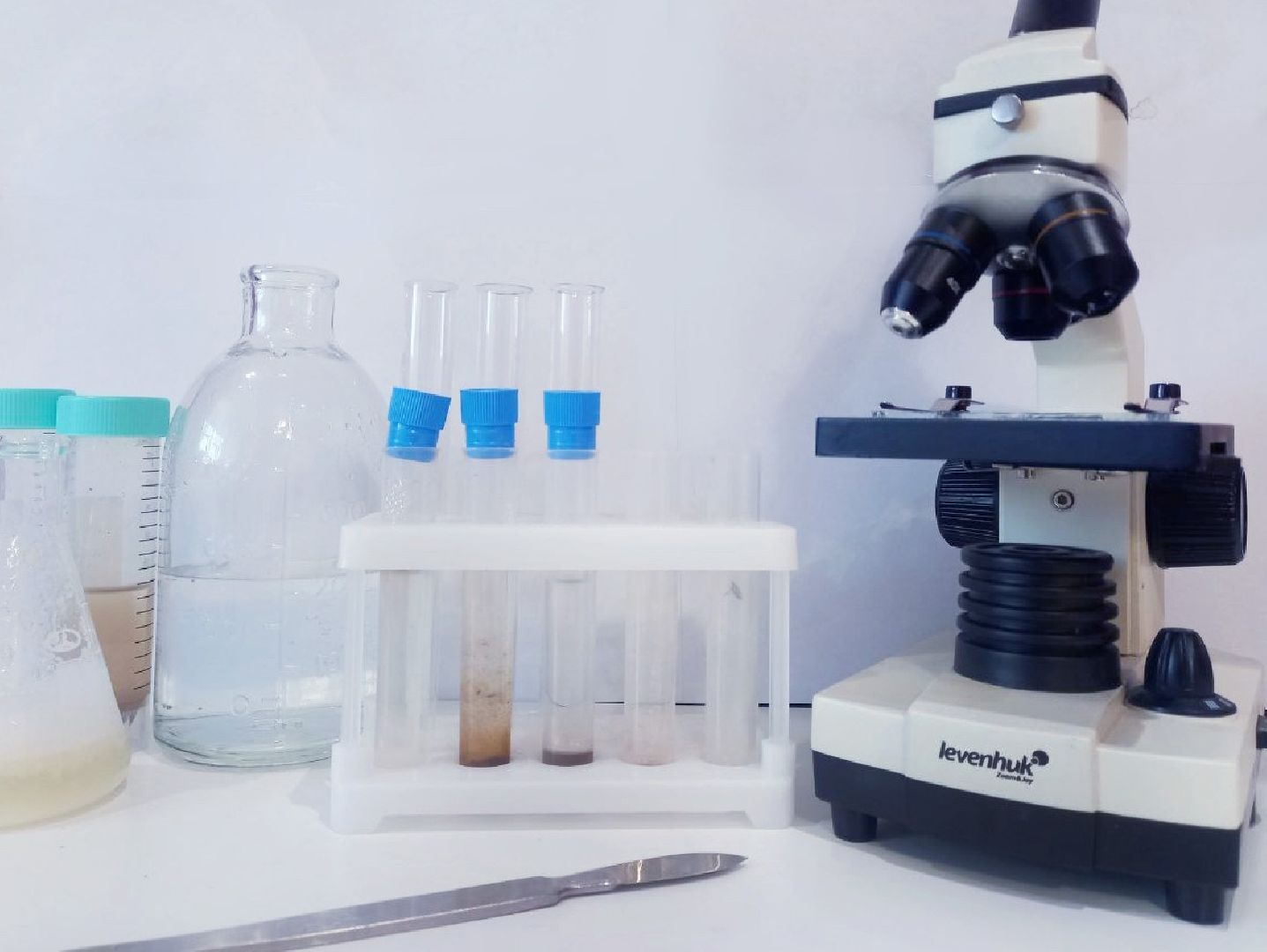 Солнечногорск, общество, наука, исследование, онкология