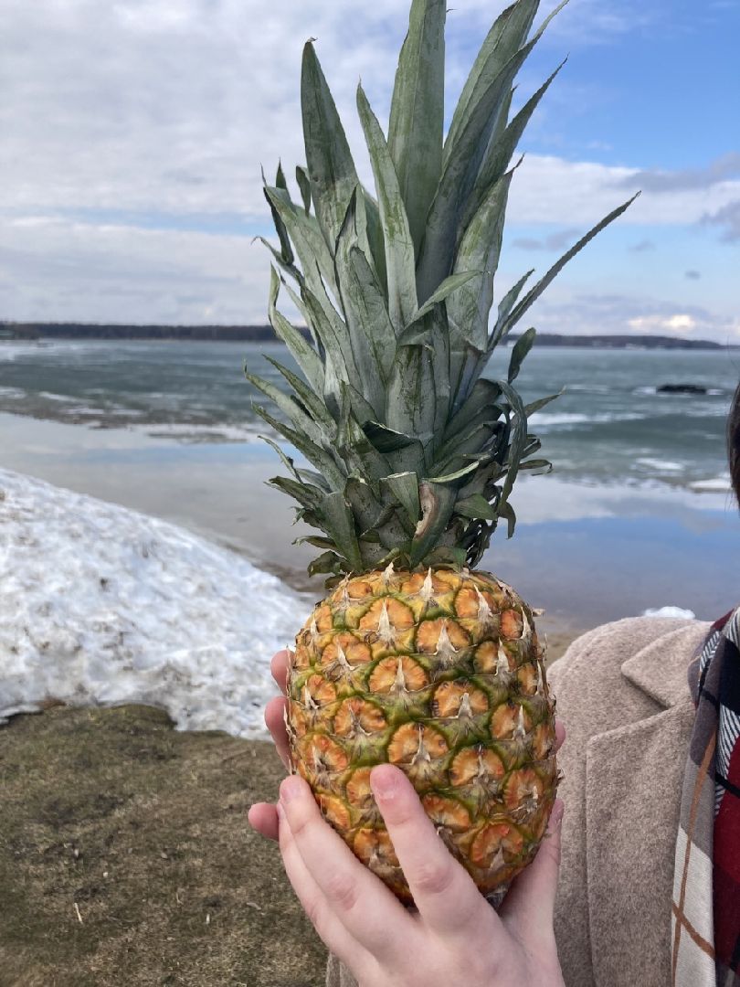 Солнечногорск, общество, наука, исследование, онкология