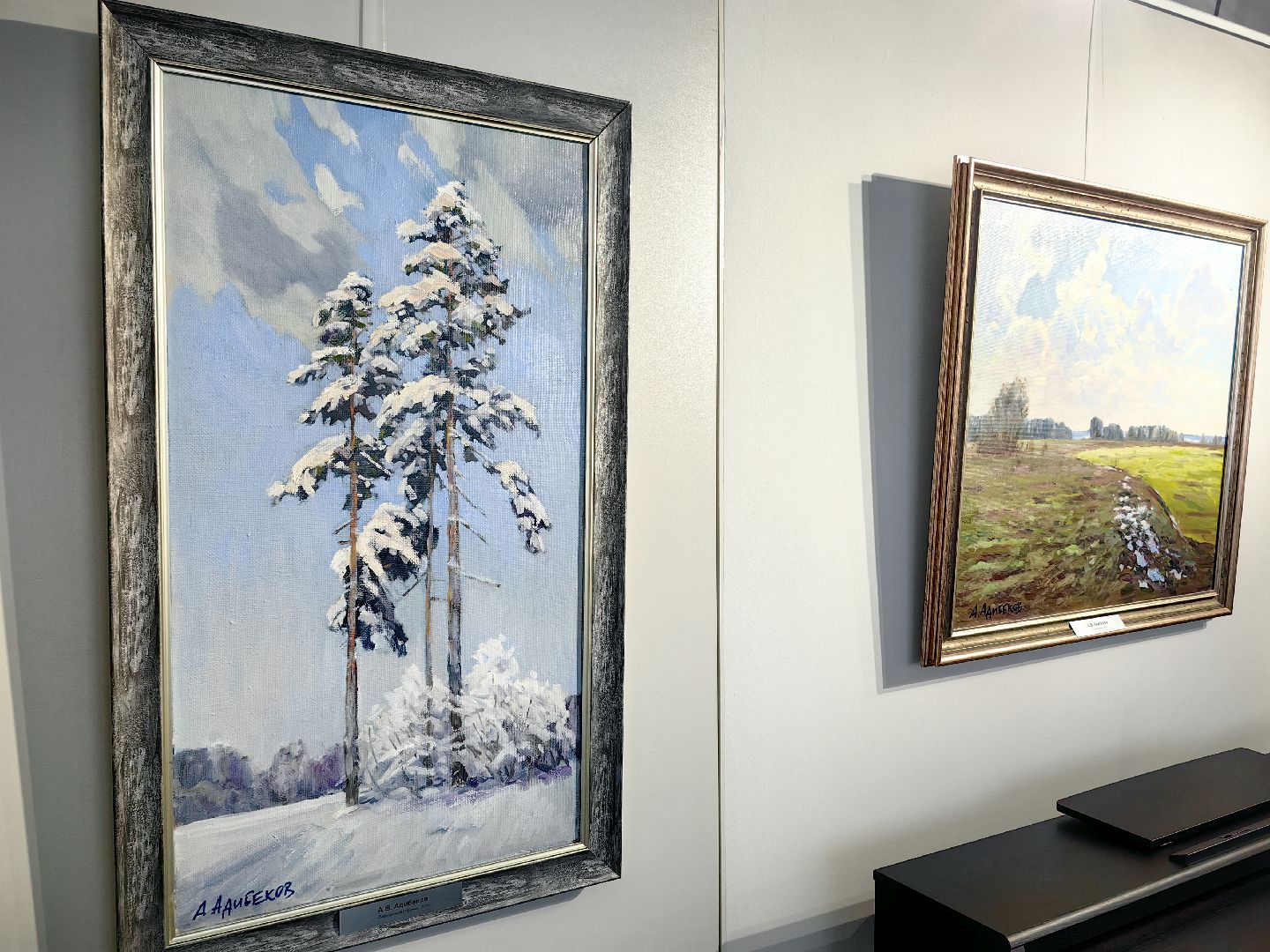 Выставка, музей, живопись, пейзаж, художник, культура, щёлково,