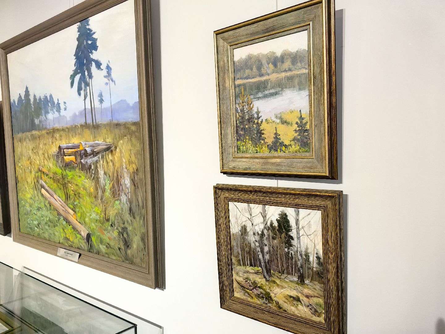 Выставка, музей, живопись, пейзаж, художник, культура, щёлково,