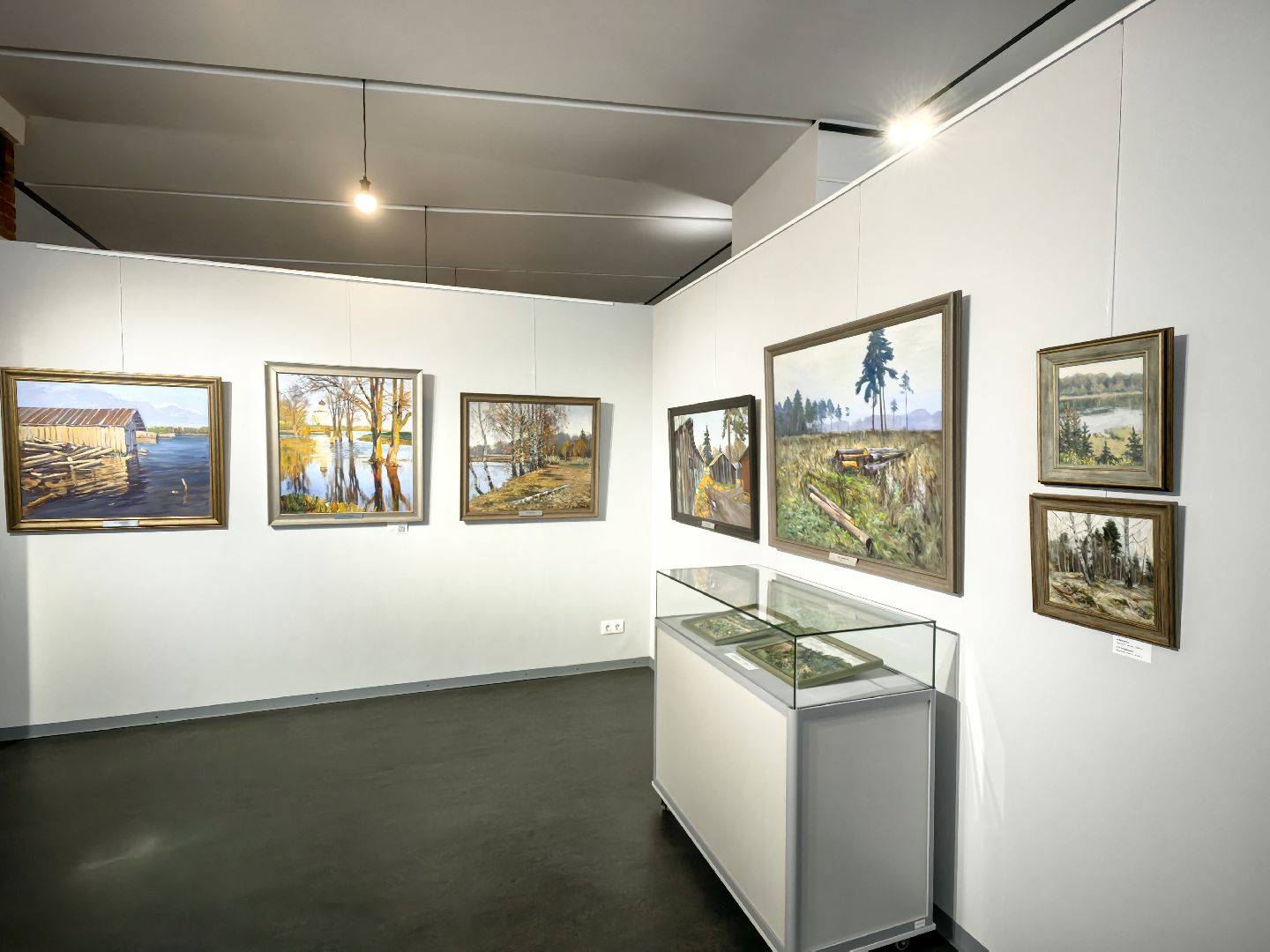 Выставка, музей, живопись, пейзаж, художник, культура, щёлково,