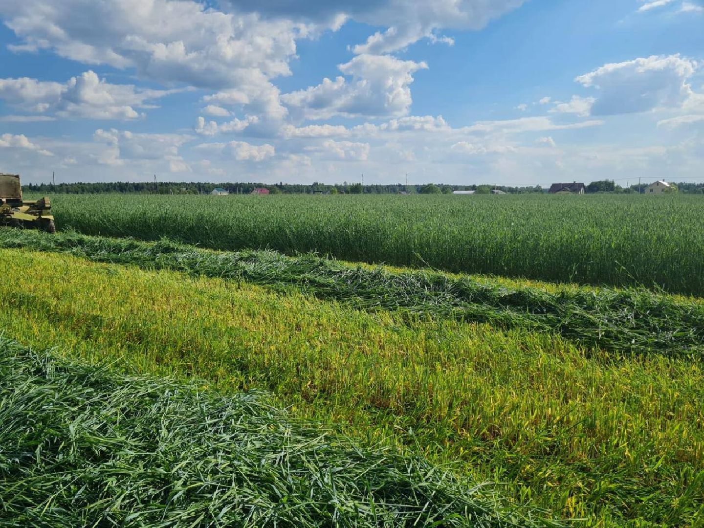 чехов, заготовка кормов, крупный рогатый скот, силос, сенаж, уникальная технология, группа компаний Агро-Центр,