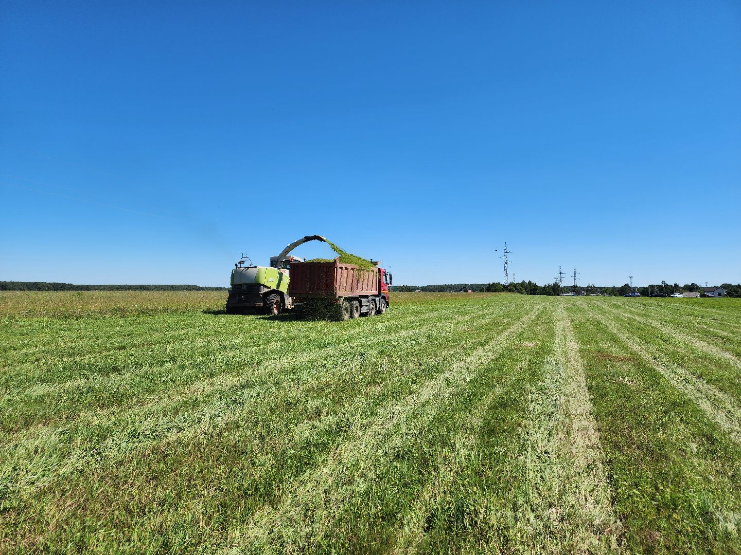 чехов, заготовка кормов, крупный рогатый скот, силос, сенаж, уникальная технология, группа компаний Агро-Центр,