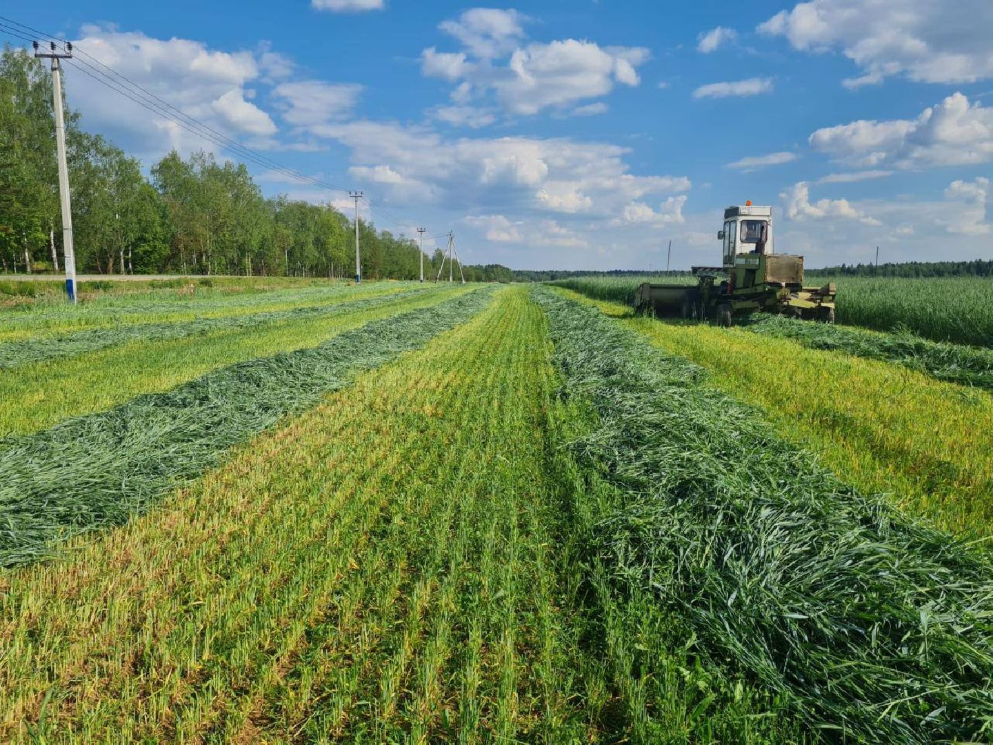 чехов, заготовка кормов, крупный рогатый скот, силос, сенаж, уникальная технология, группа компаний Агро-Центр,