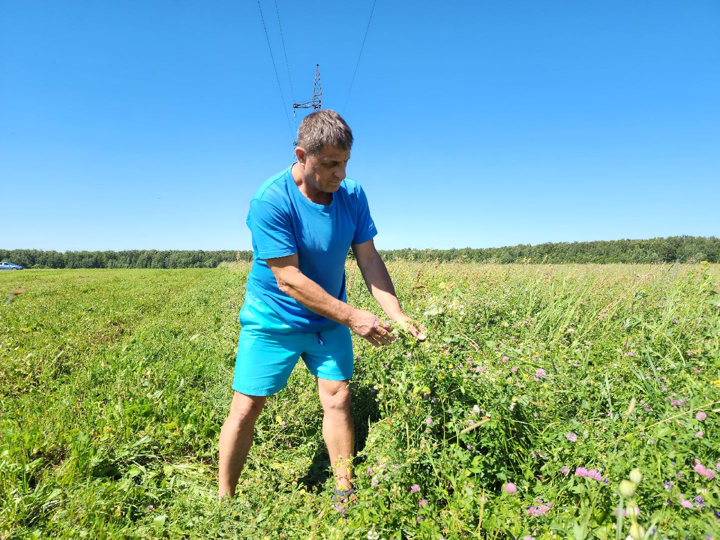 чехов, заготовка кормов, крупный рогатый скот, силос, сенаж, уникальная технология, группа компаний Агро-Центр,