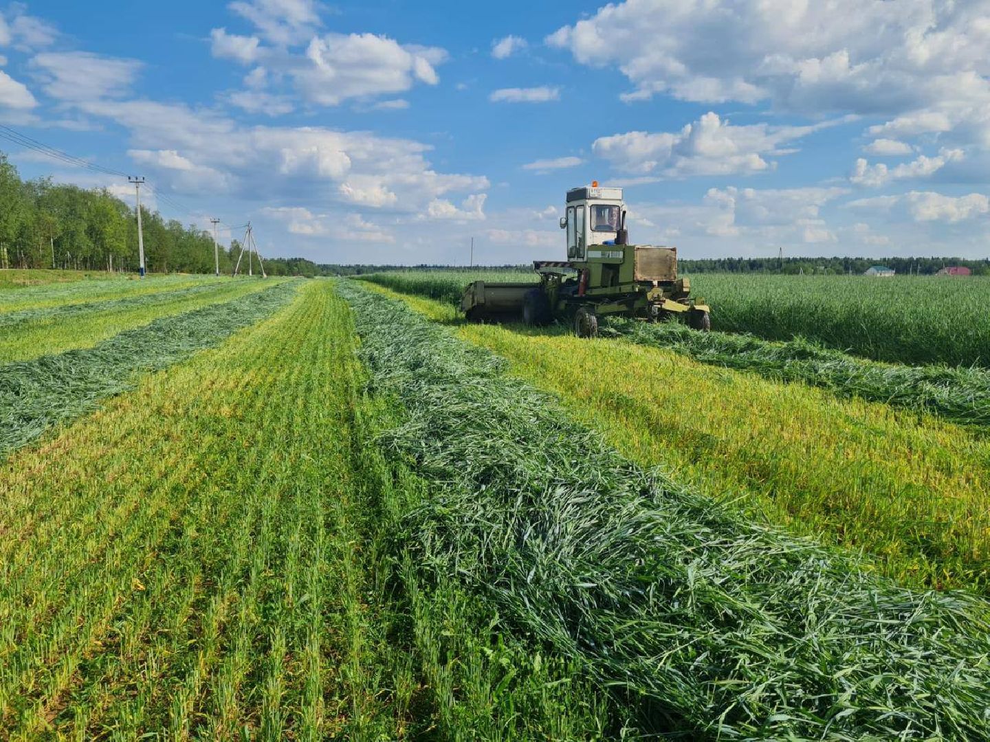 чехов, заготовка кормов, крупный рогатый скот, силос, сенаж, уникальная технология, группа компаний Агро-Центр,