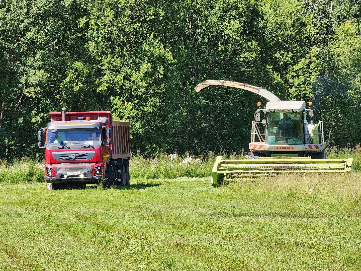чехов, заготовка кормов, крупный рогатый скот, силос, сенаж, уникальная технология, группа компаний Агро-Центр,
