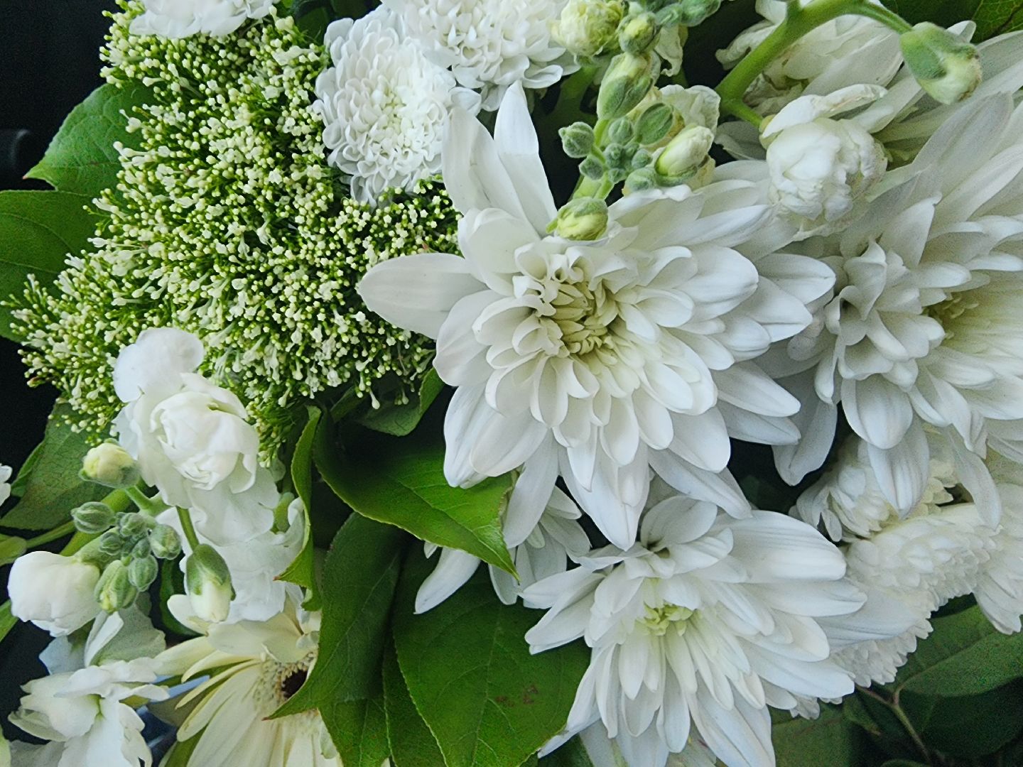 сво, орден мужества, орден мужества посмертно, вручение наград, ленинский округ, военкомат, военкомат домодедово,