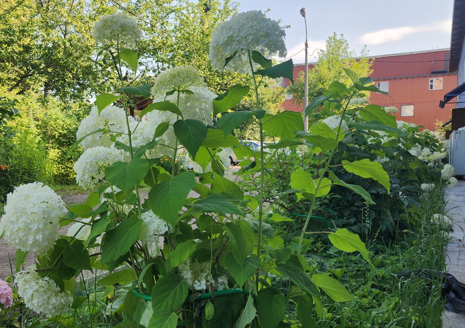 Голицыно, ЖКХ, Благоустройство,