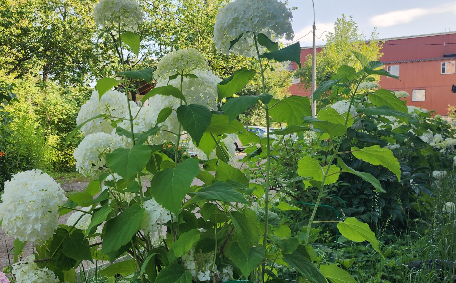 Голицыно, Выездная администрация, Благоустройство,