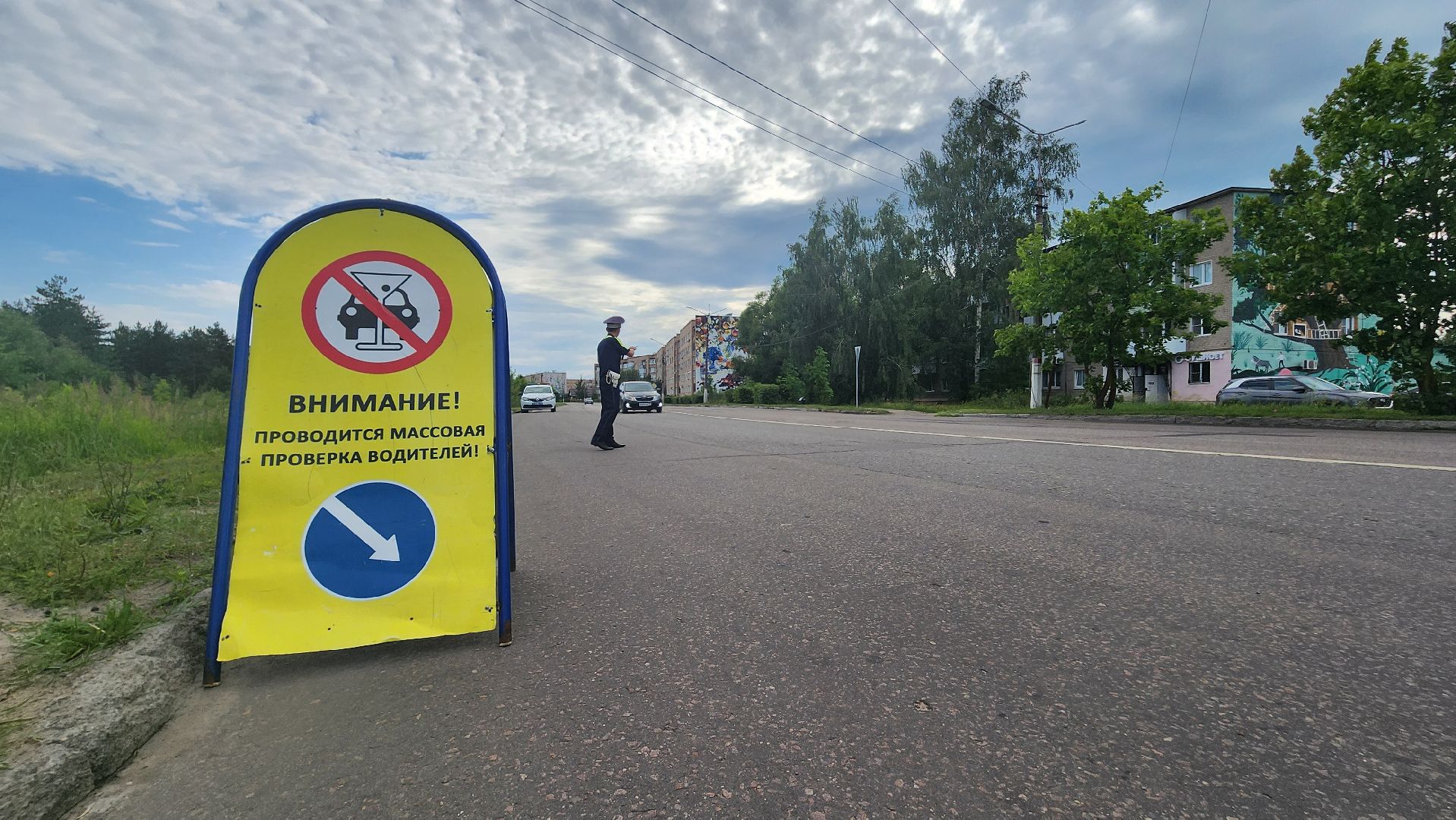 детское автокресло, тотальная проверка, Рошаль, Большя Шатура, гаи,