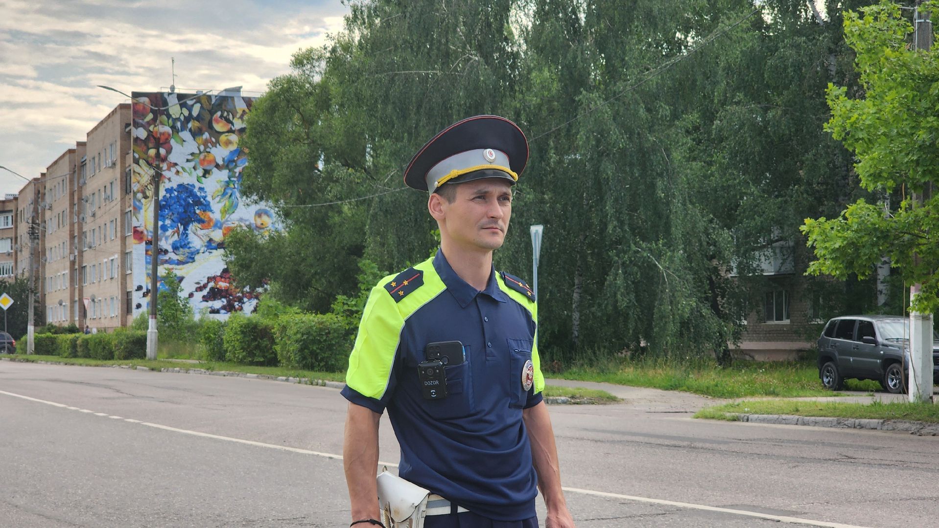 детское автокресло, тотальная проверка, Рошаль, Большя Шатура, гаи,