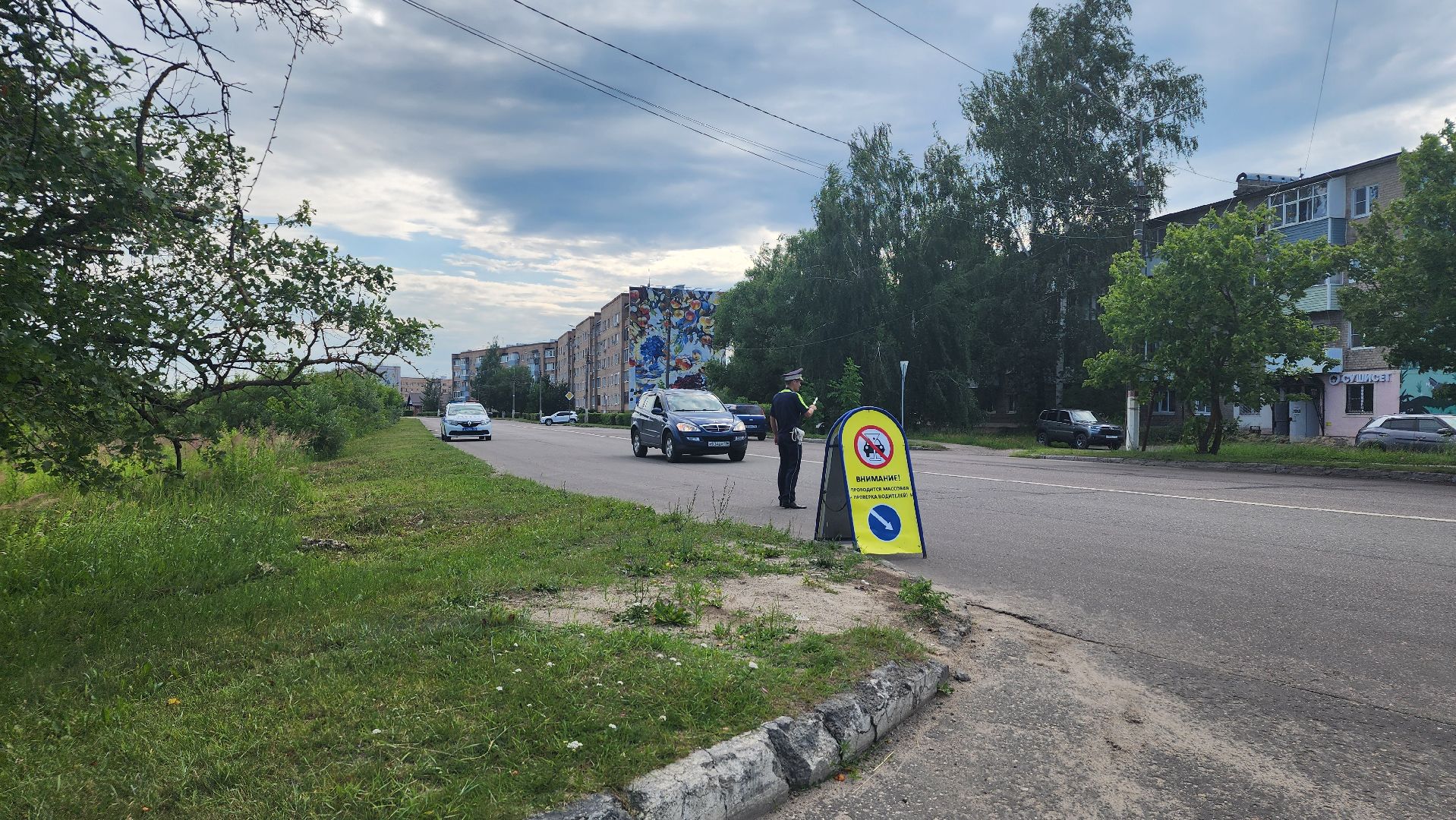 детское автокресло, тотальная проверка, Рошаль, Большя Шатура, гаи,