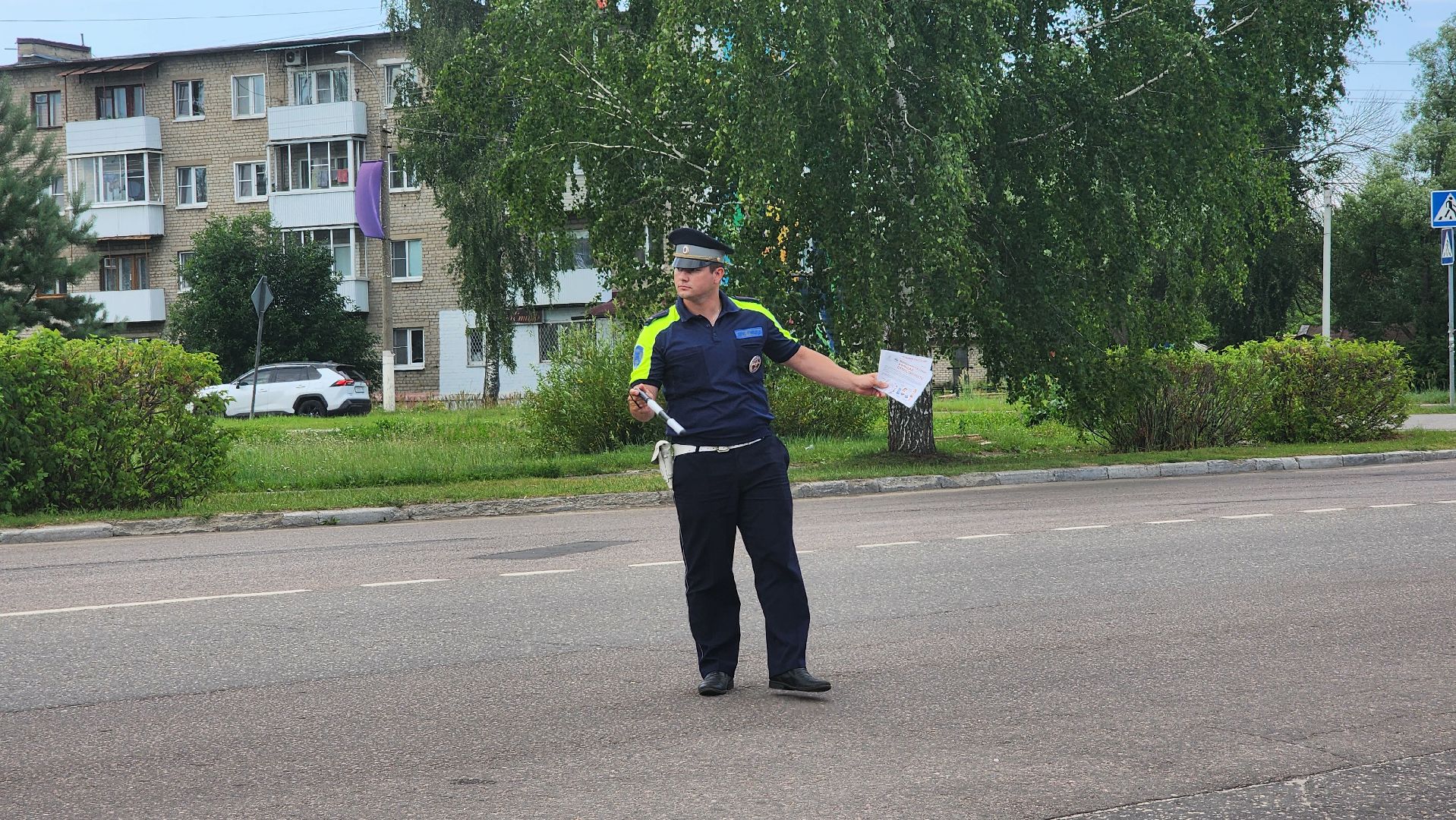 детское автокресло, тотальная проверка, Рошаль, Большя Шатура, гаи,