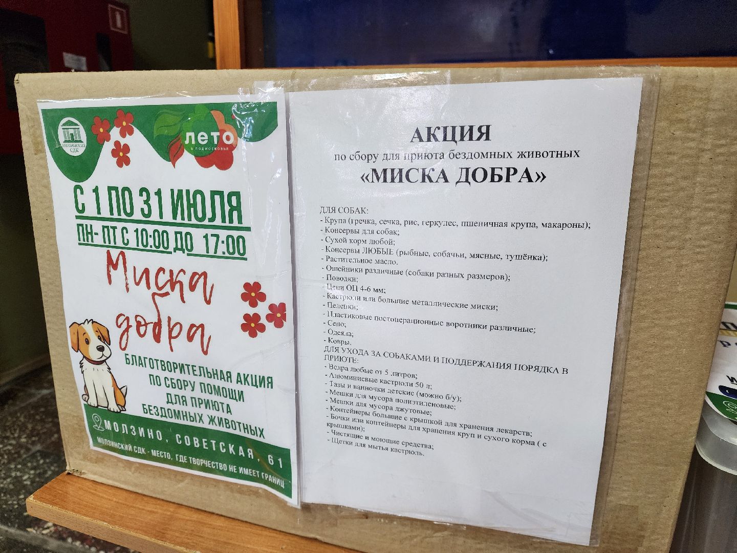 общество, жители, СДК Молзино, сельский дом культуры, ногинск, богородский округ, благотворительность, акция,