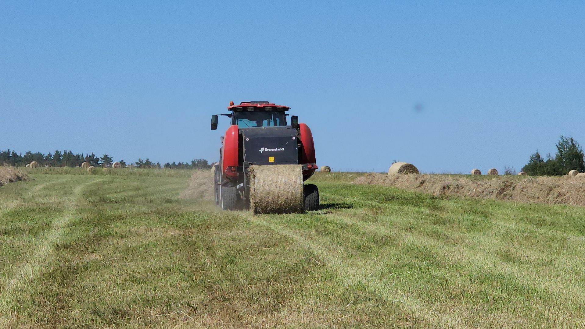 серпухов, ооо туровский, агрокомплекс, заготовка сена, сельское хозяйство,