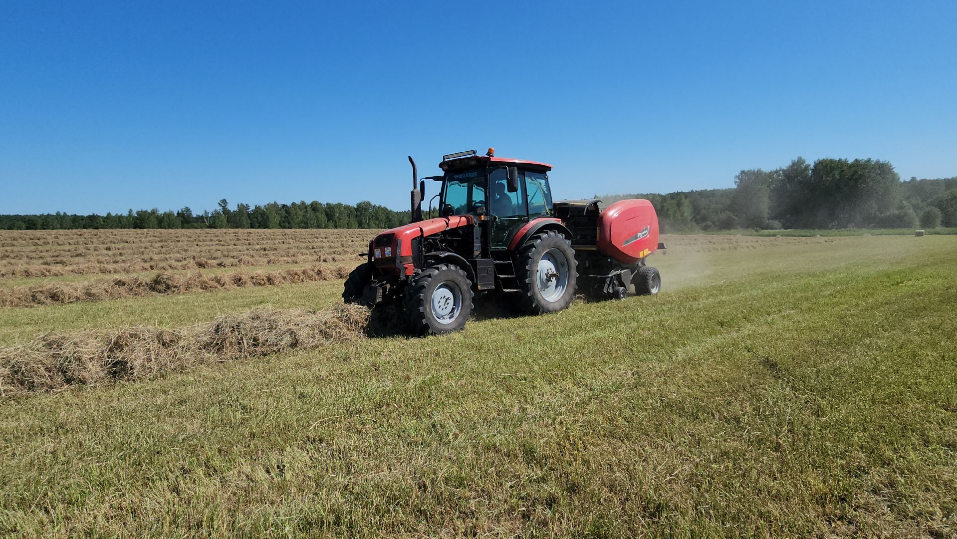 серпухов, ооо туровский, агрокомплекс, заготовка сена, сельское хозяйство,