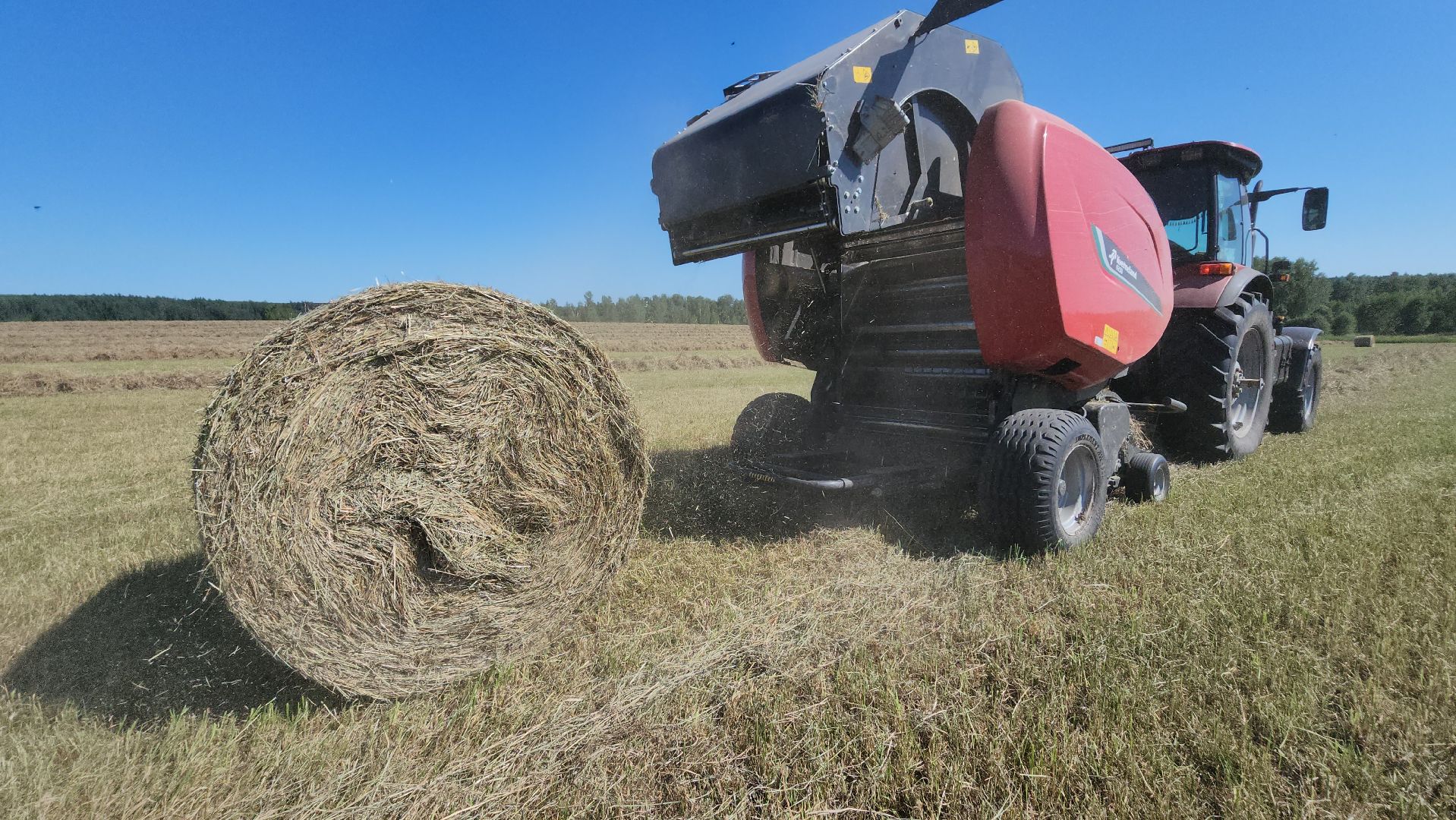 серпухов, ооо туровский, агрокомплекс, заготовка сена, сельское хозяйство,