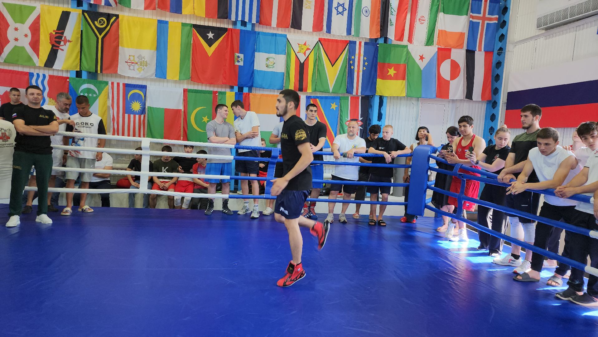 серпухов, подмосковье, федерация бокса россии,