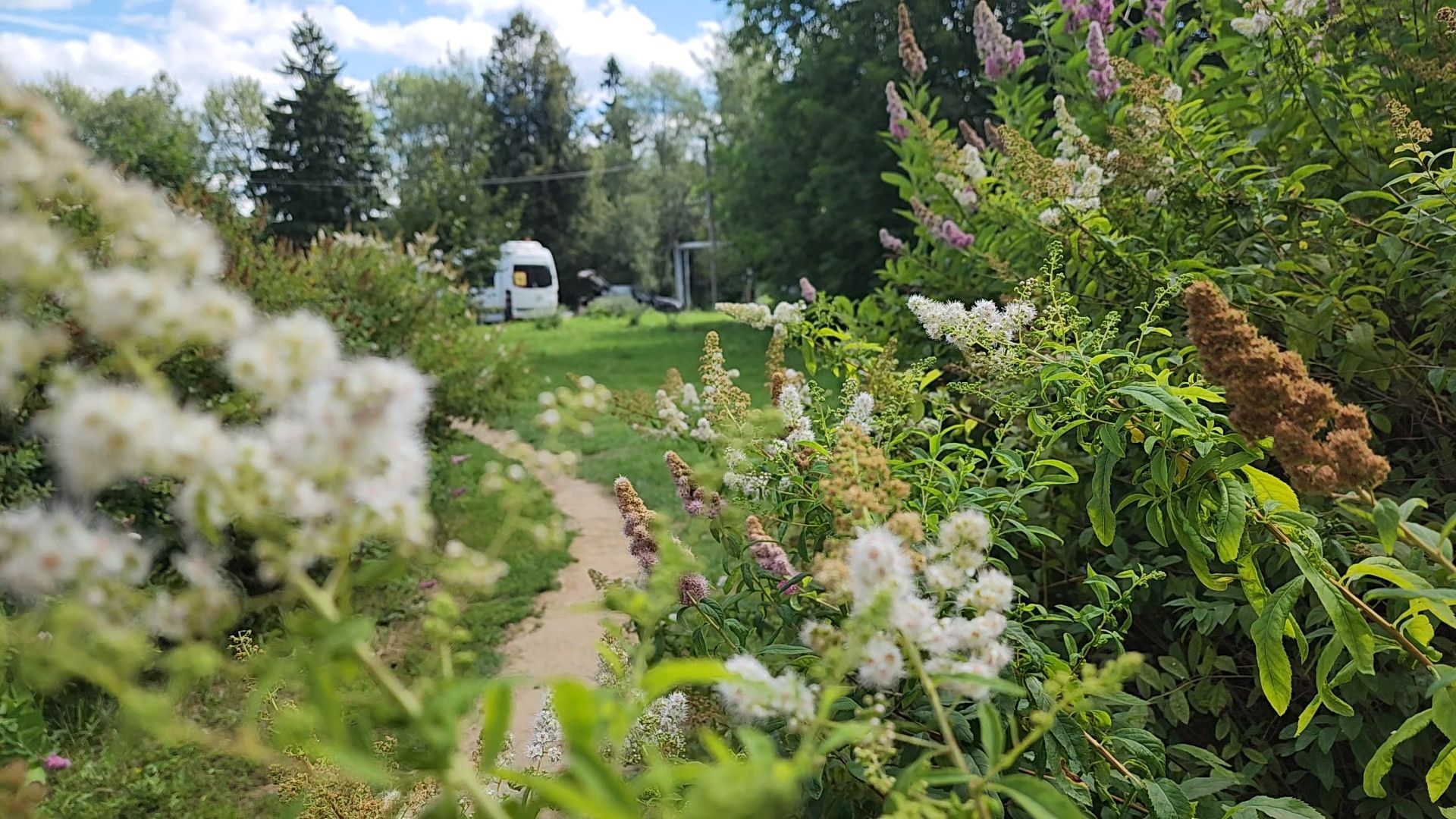одинцово, летний отдых, благоустройство, пешком, губернатор,
