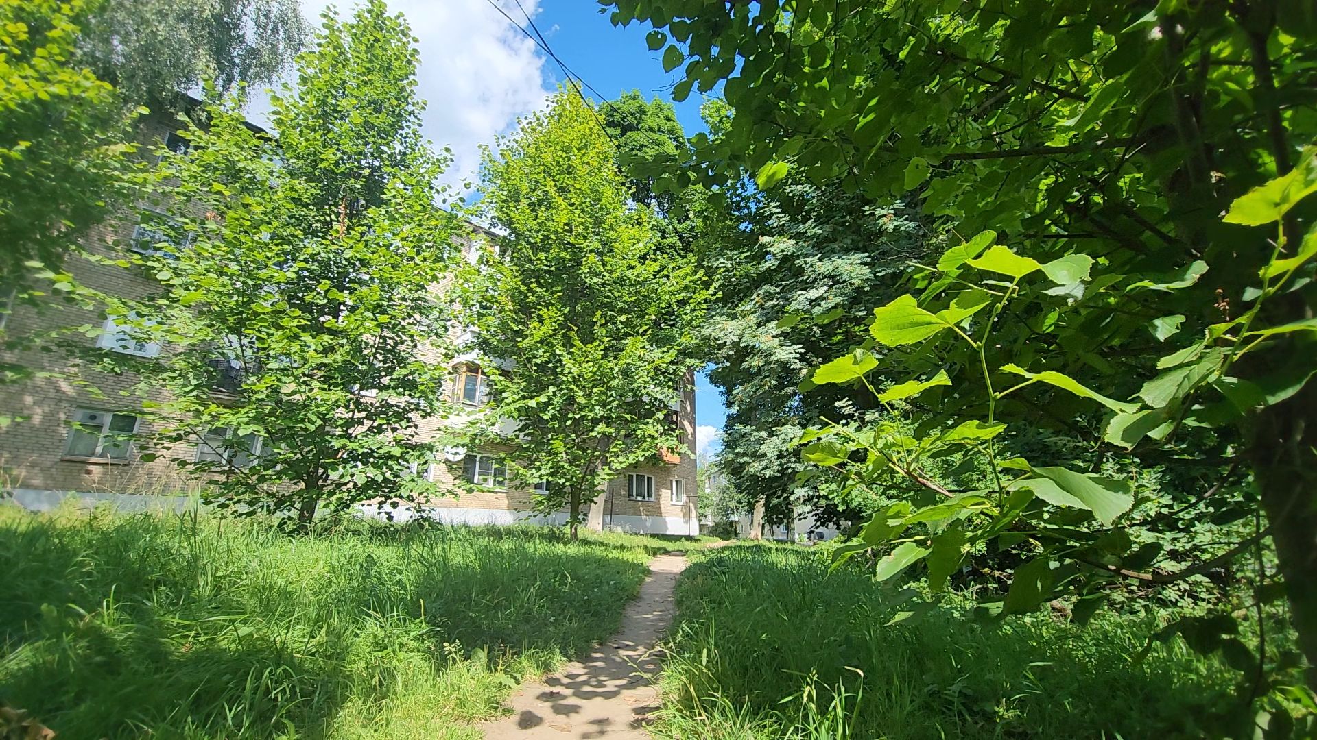 одинцово, летний отдых, благоустройство, пешком, губернатор,