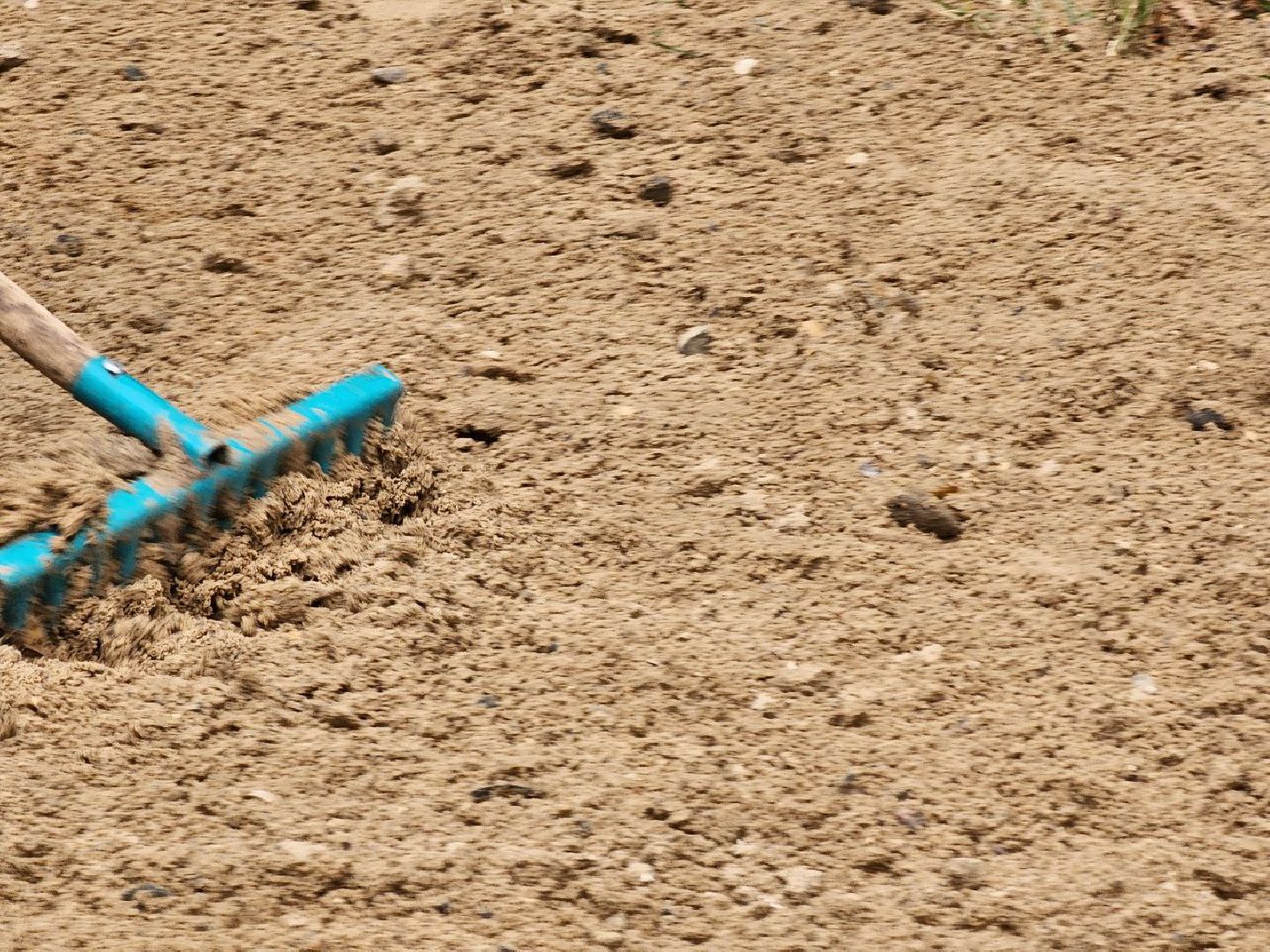 Солнечногорск, Благоустройство, детская площадка, городской парк, Жители,