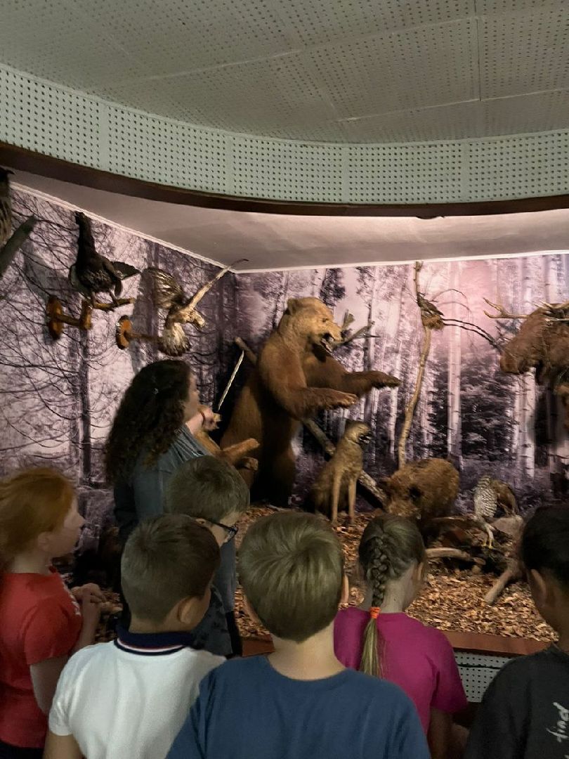 Ногинск, Летний лагерь, школьный лагерь, Лагерь, Образование, Общество, Жители,