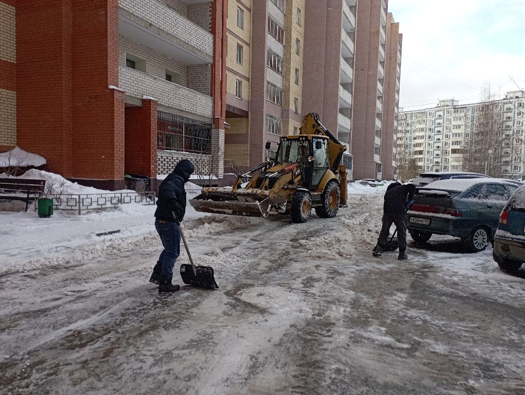 Дубна, общество