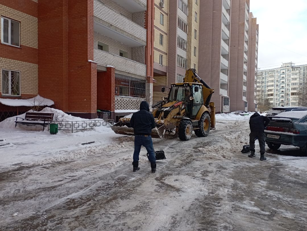 Дубна, общество