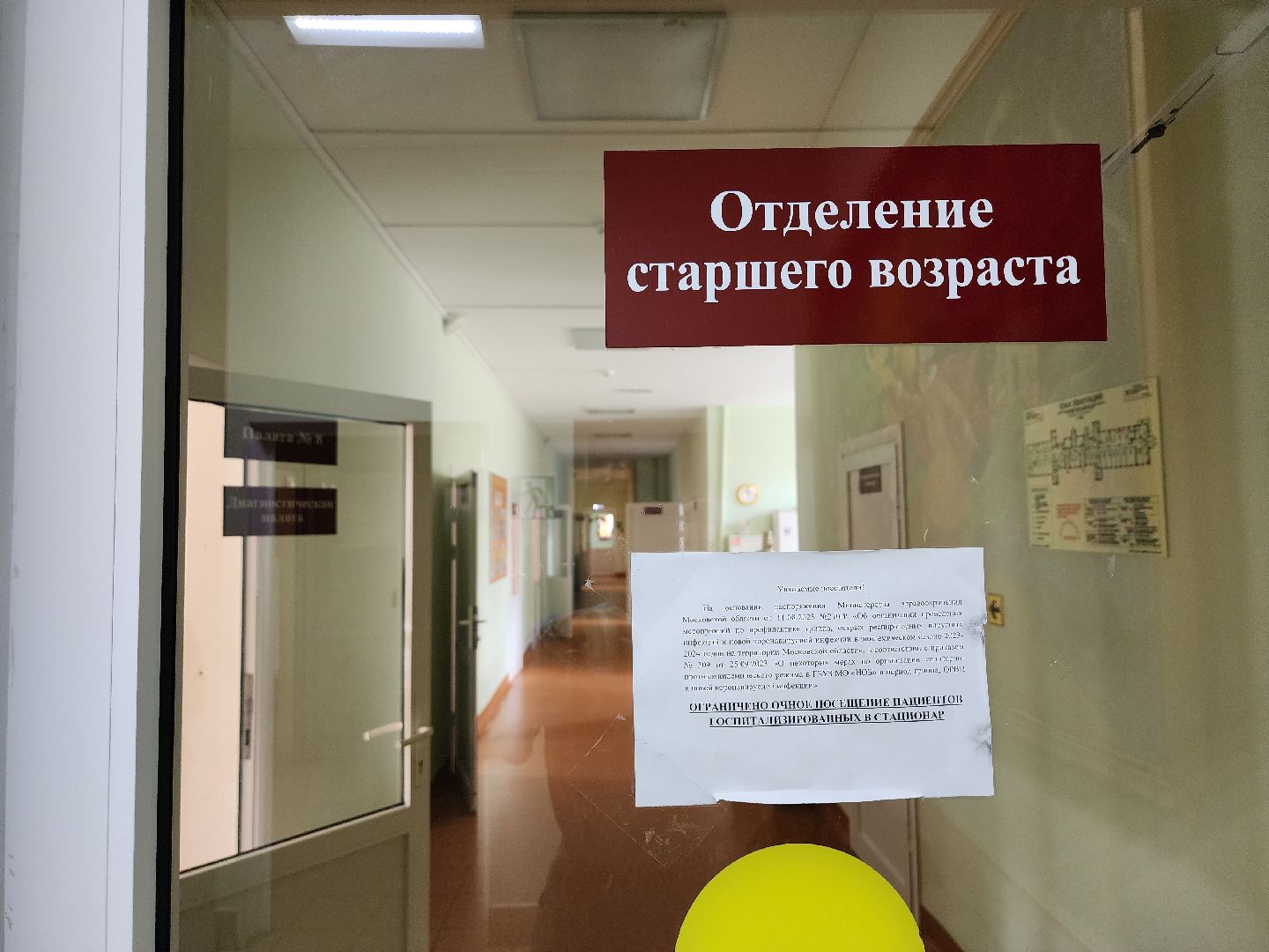 сбор средств на лечение, благотворительный сбор, сбор пожертвований на лечение, Ногинск, Богородский городской округ,