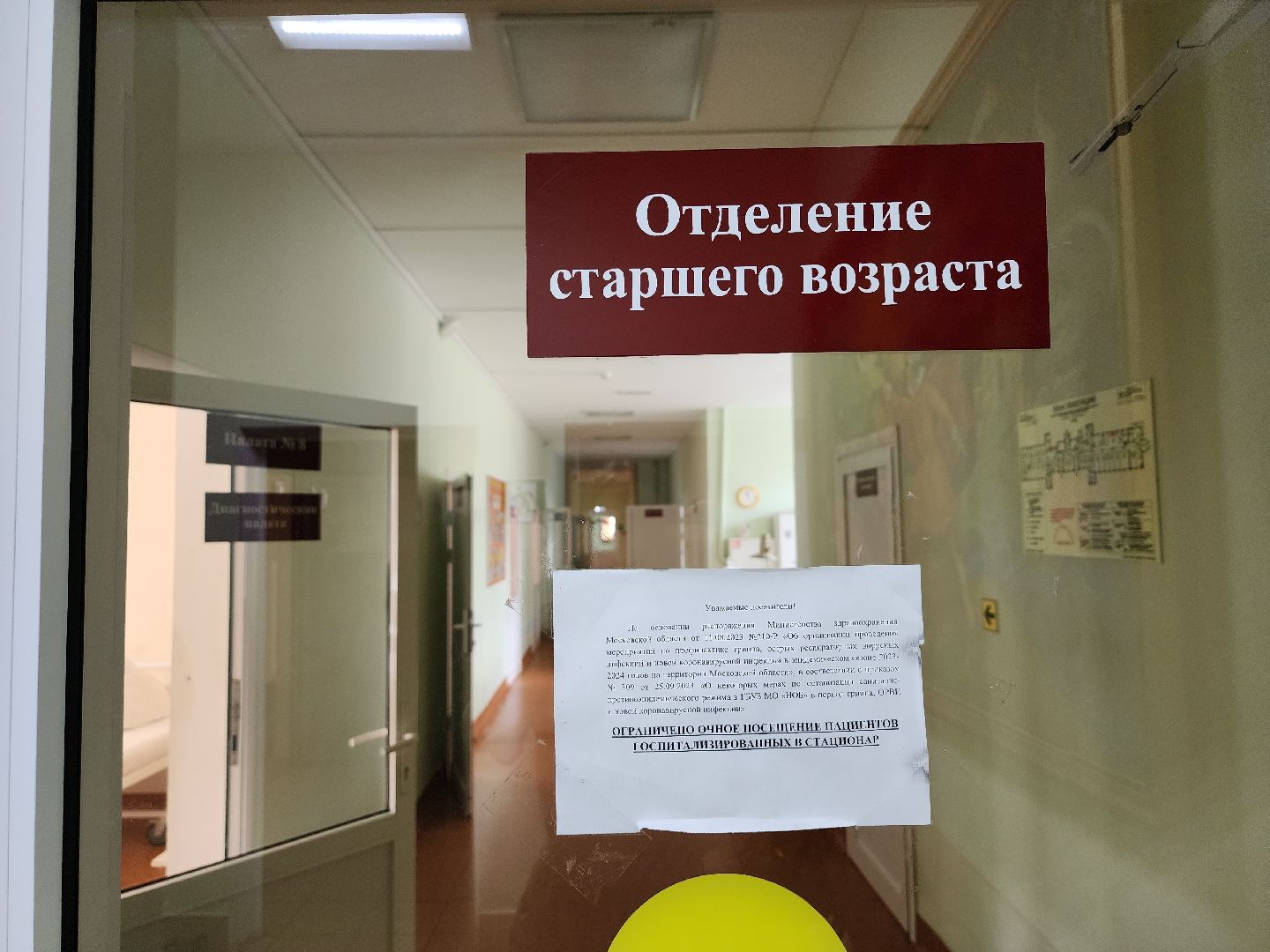 сбор средств на лечение, благотворительный сбор, сбор пожертвований на лечение, Ногинск, Богородский городской округ,