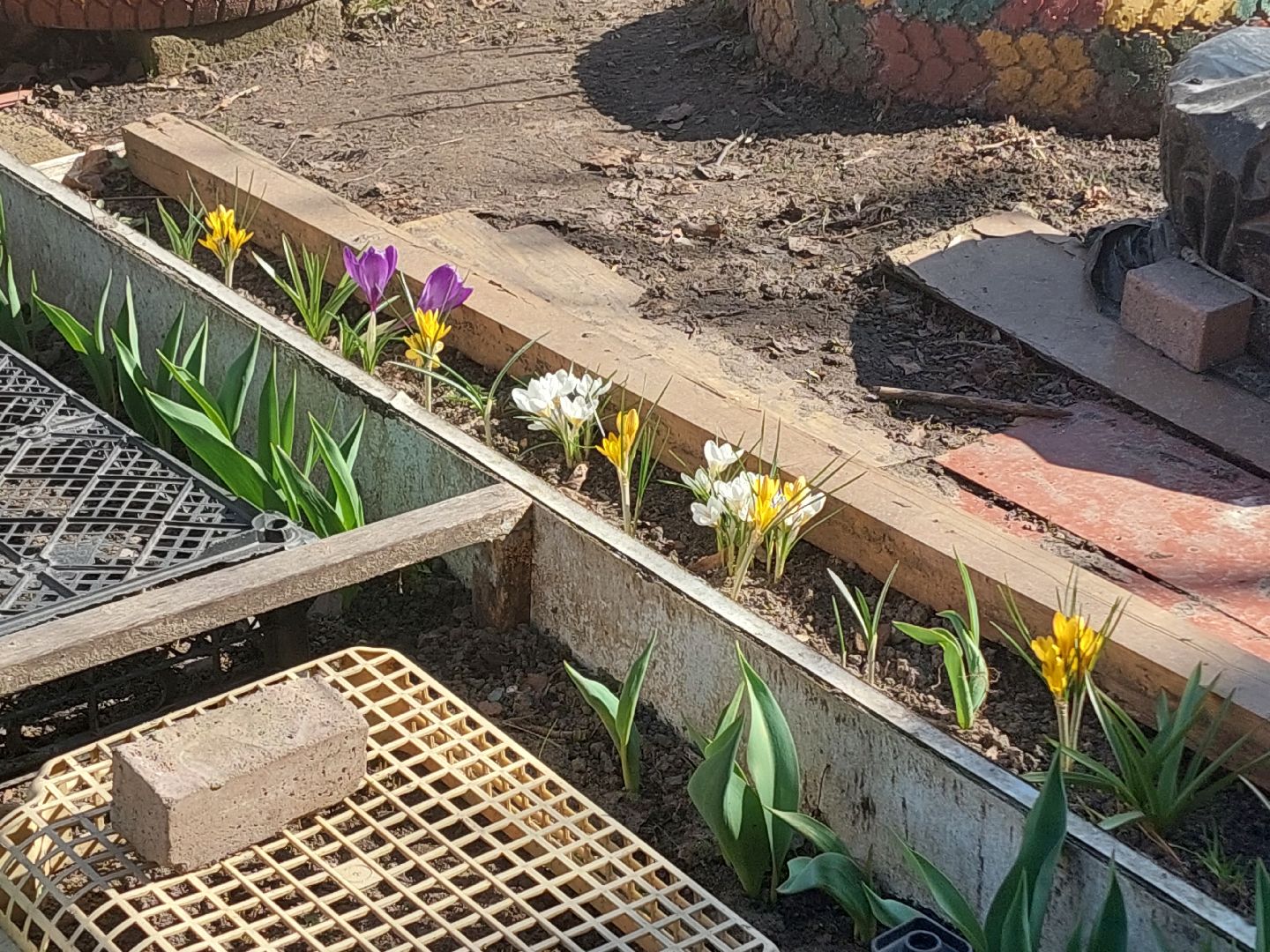 благоустройство, весна, Воскресенск