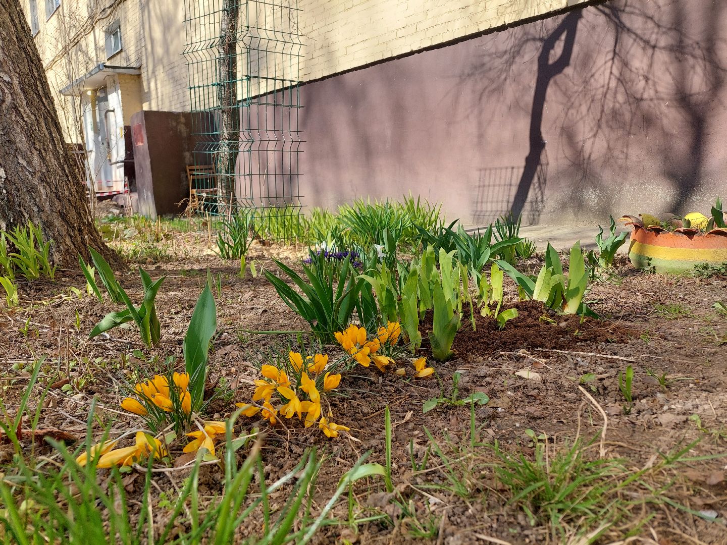 благоустройство, весна, Воскресенск