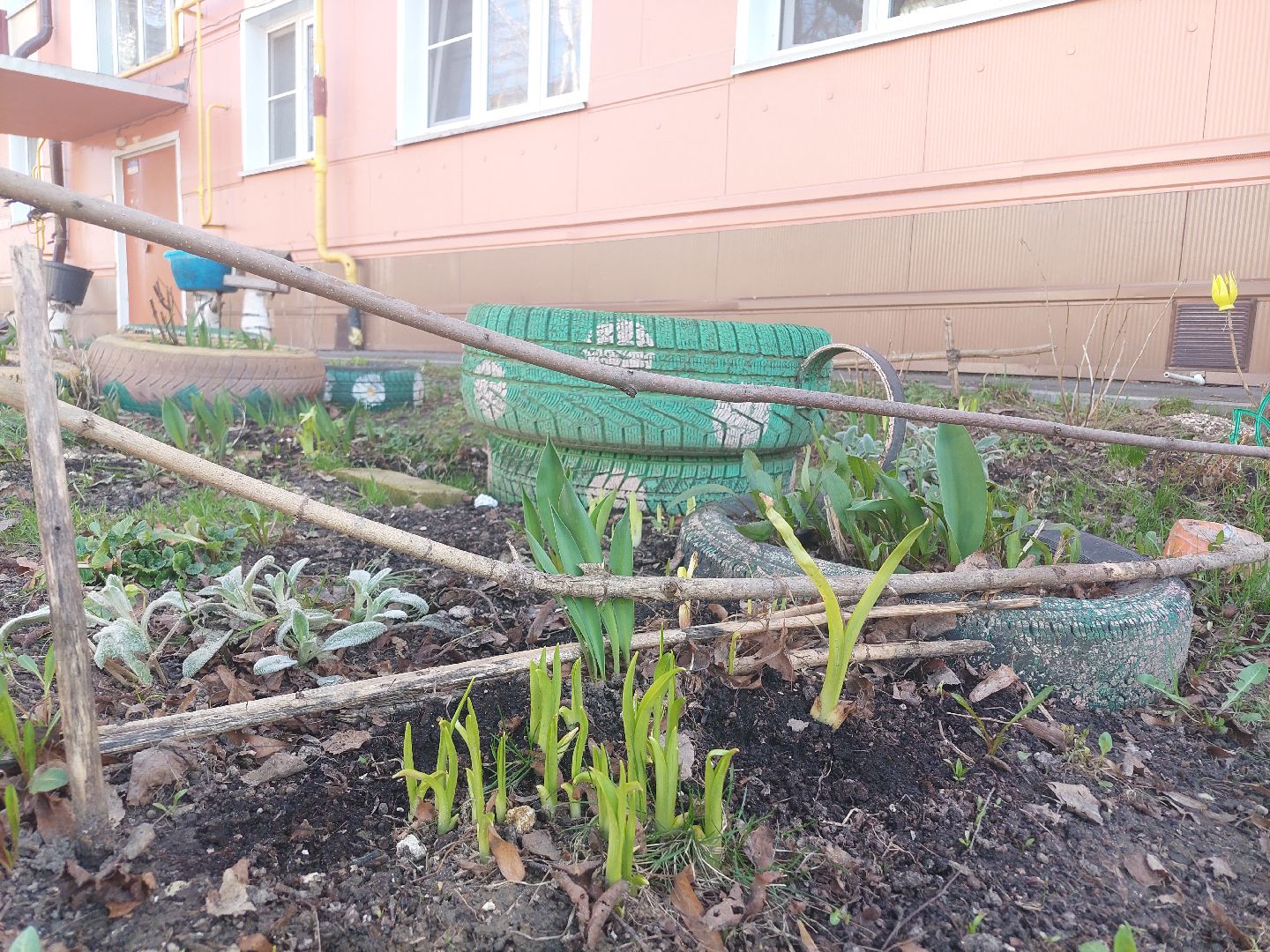 благоустройство, весна, Воскресенск