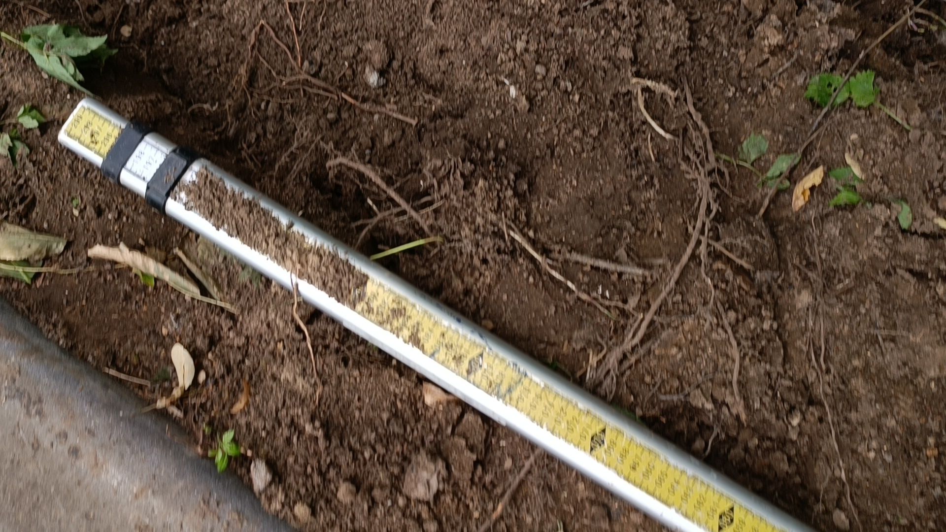 спорт, скейт-парк, лобня,