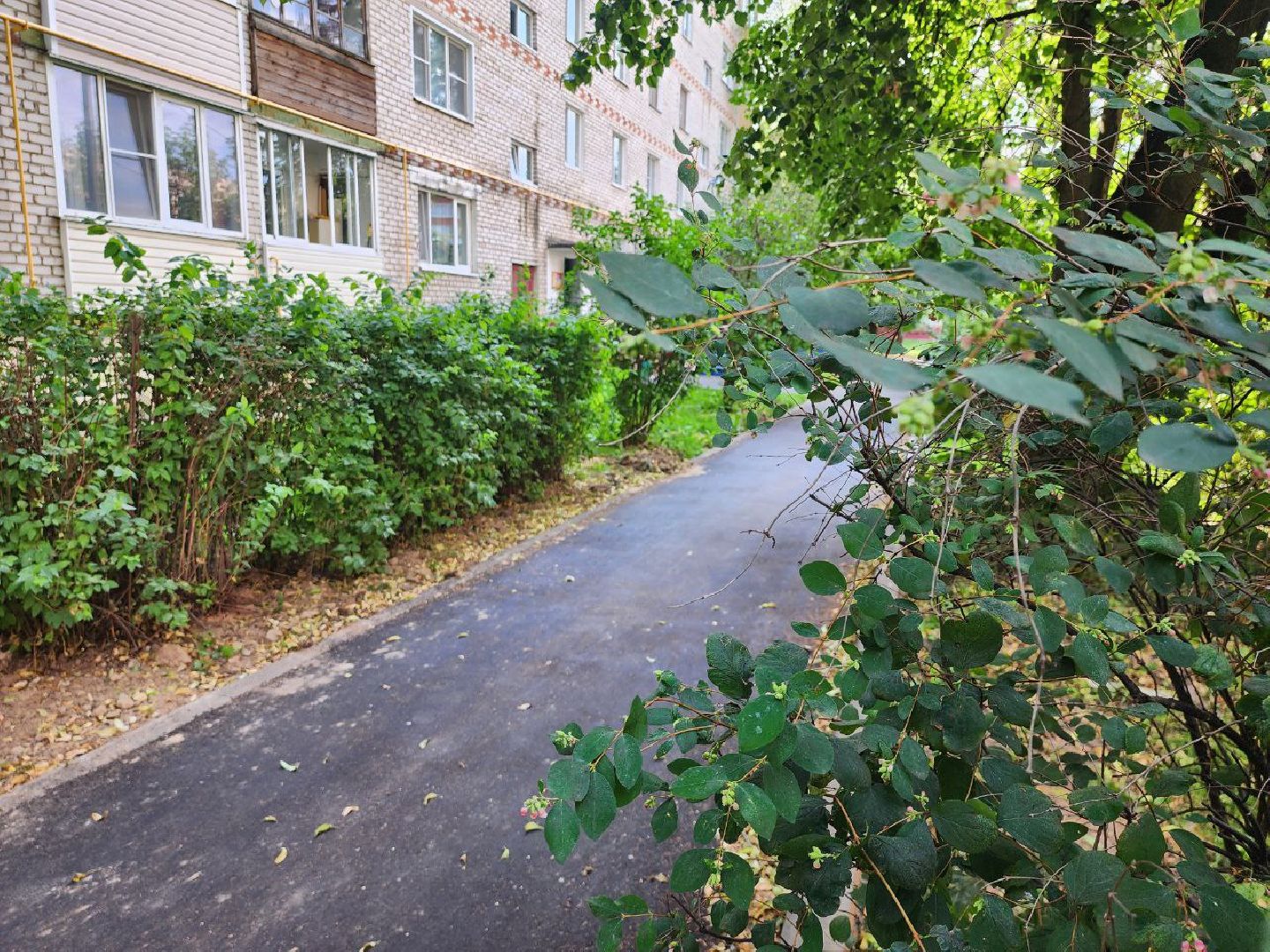 можайск, можайский городской округ, подмосковье, благоустройство, дворовые территории, комфортная городская среда, федеральный проект, работы, жители, дворы,