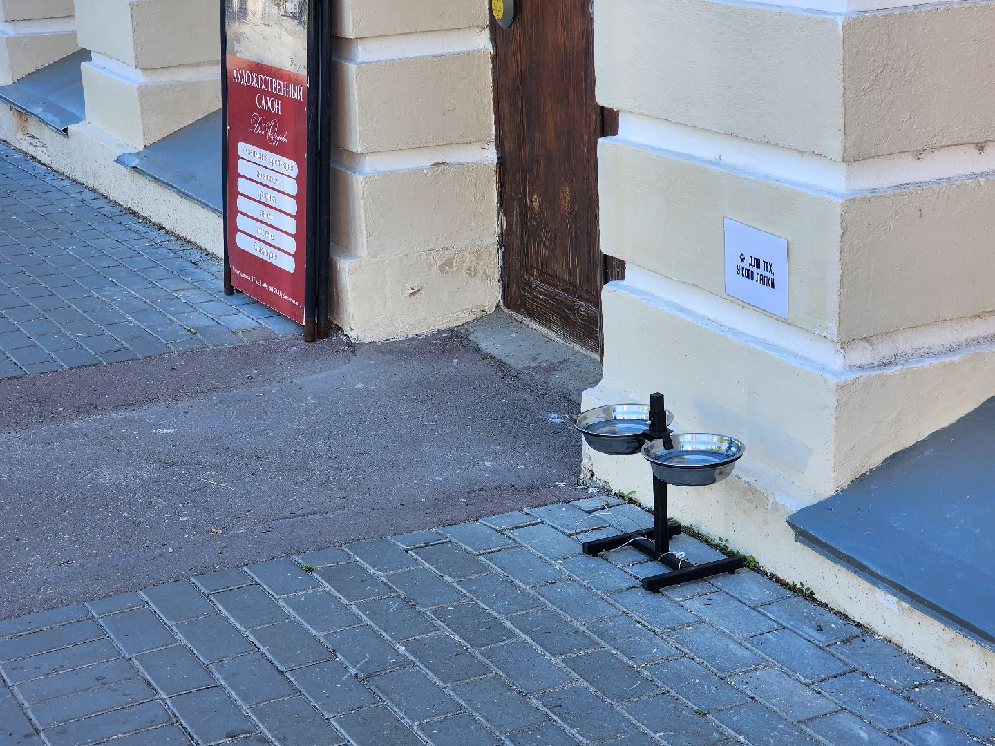 Коломна, помощь бездомным животным,