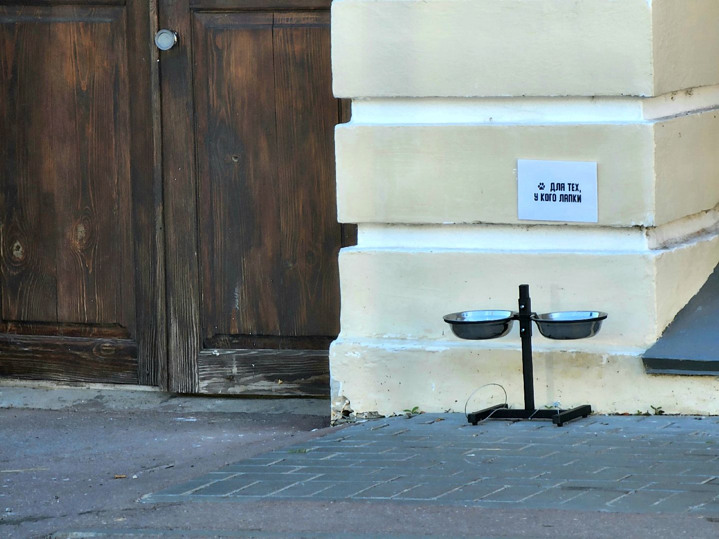 Коломна, помощь бездомным животным,