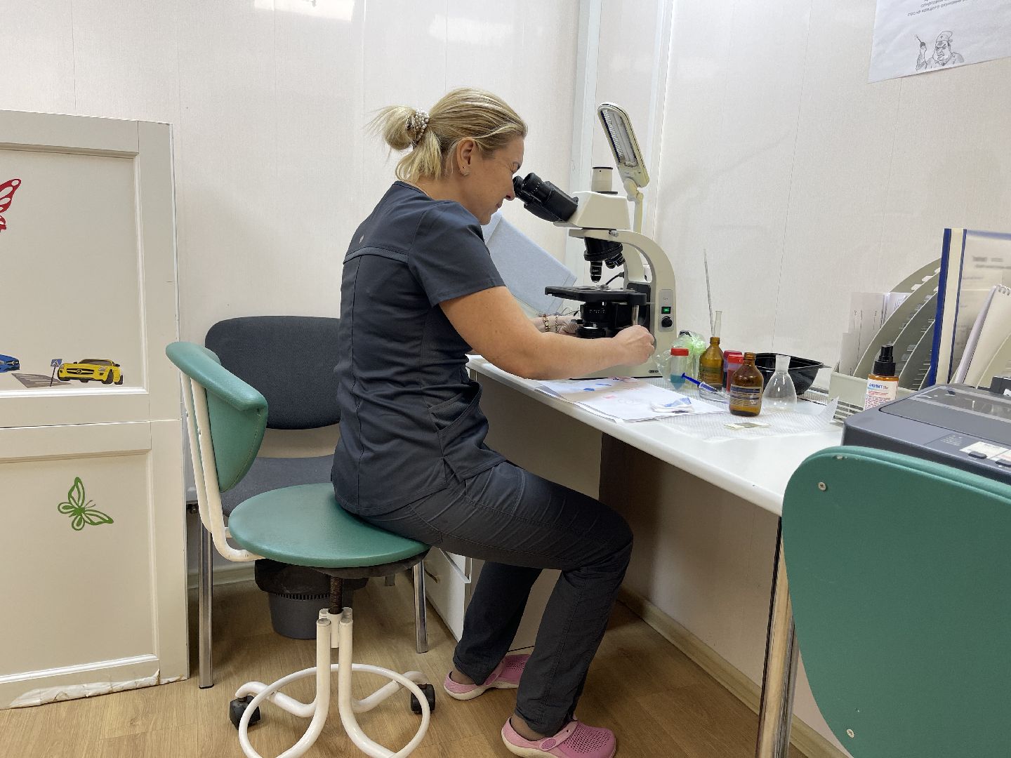 Пироплазмоз, вирус, клещи, собаки, инфекция, лечение, ветеринария,