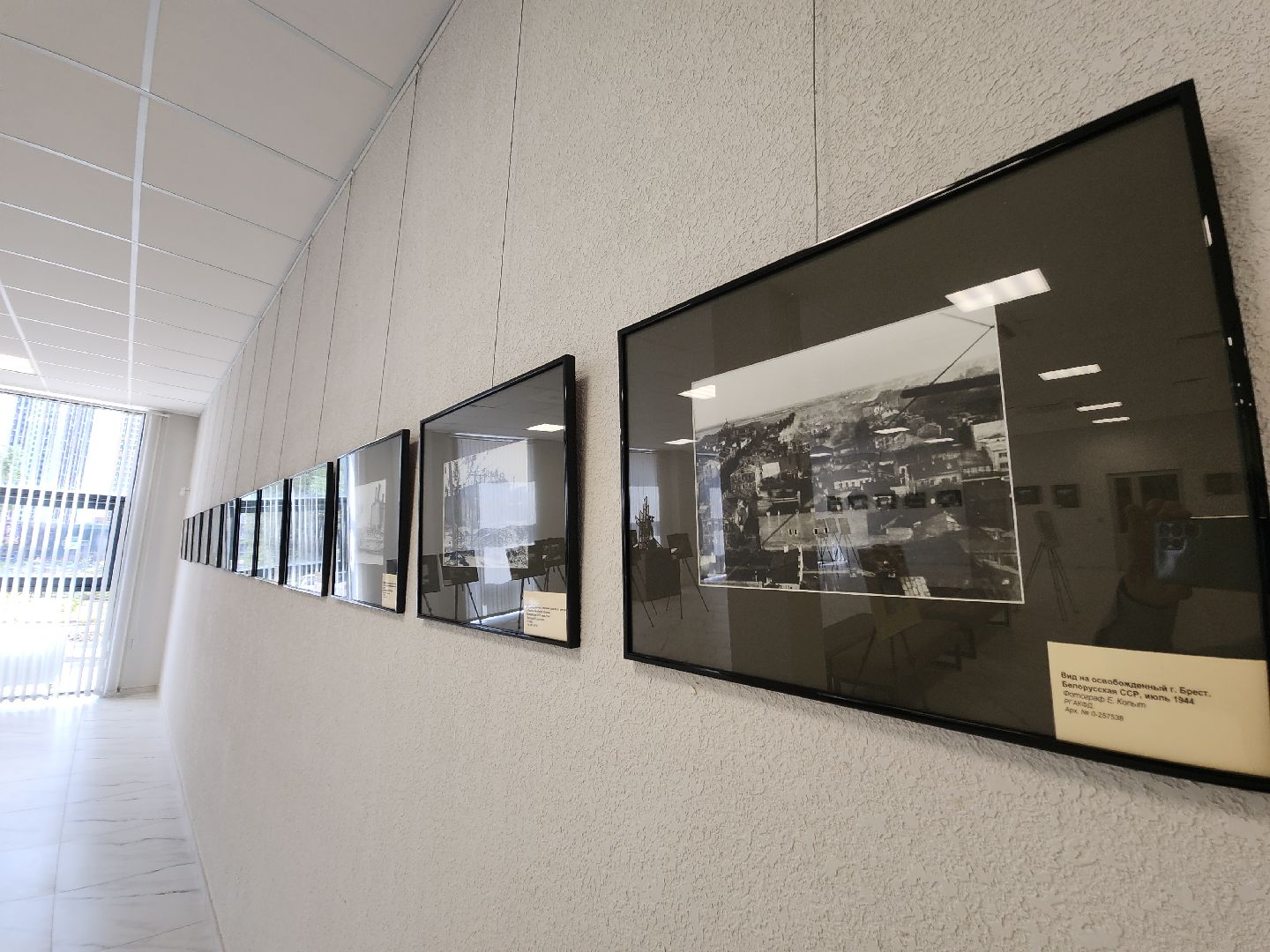 красногорск, ргакф, архив, фотовыставка,