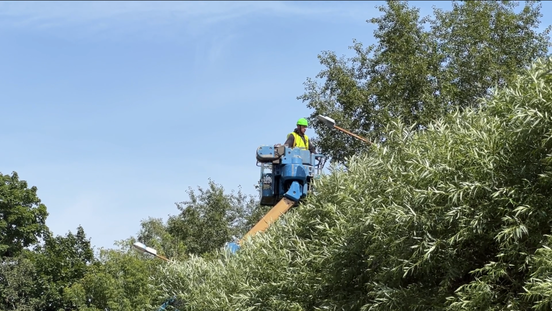 химки, благоустройство, освещение, уличное освещение,
