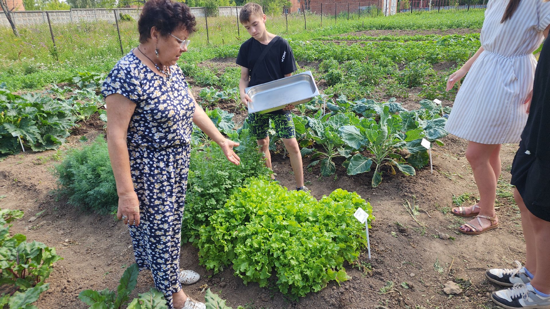 ступино, агроклассы, образование в подмосковье,