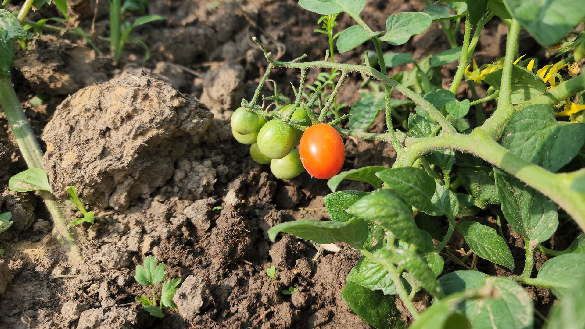 ступино, агроклассы, образование в подмосковье,