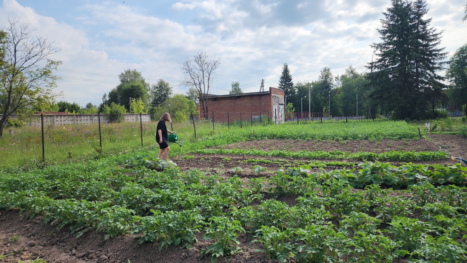 ступино, агроклассы, образование в подмосковье,