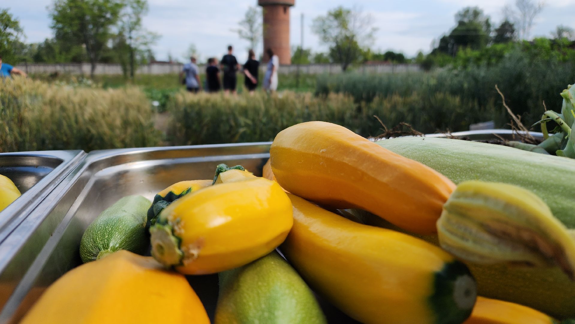 ступино, агроклассы, образование в подмосковье,