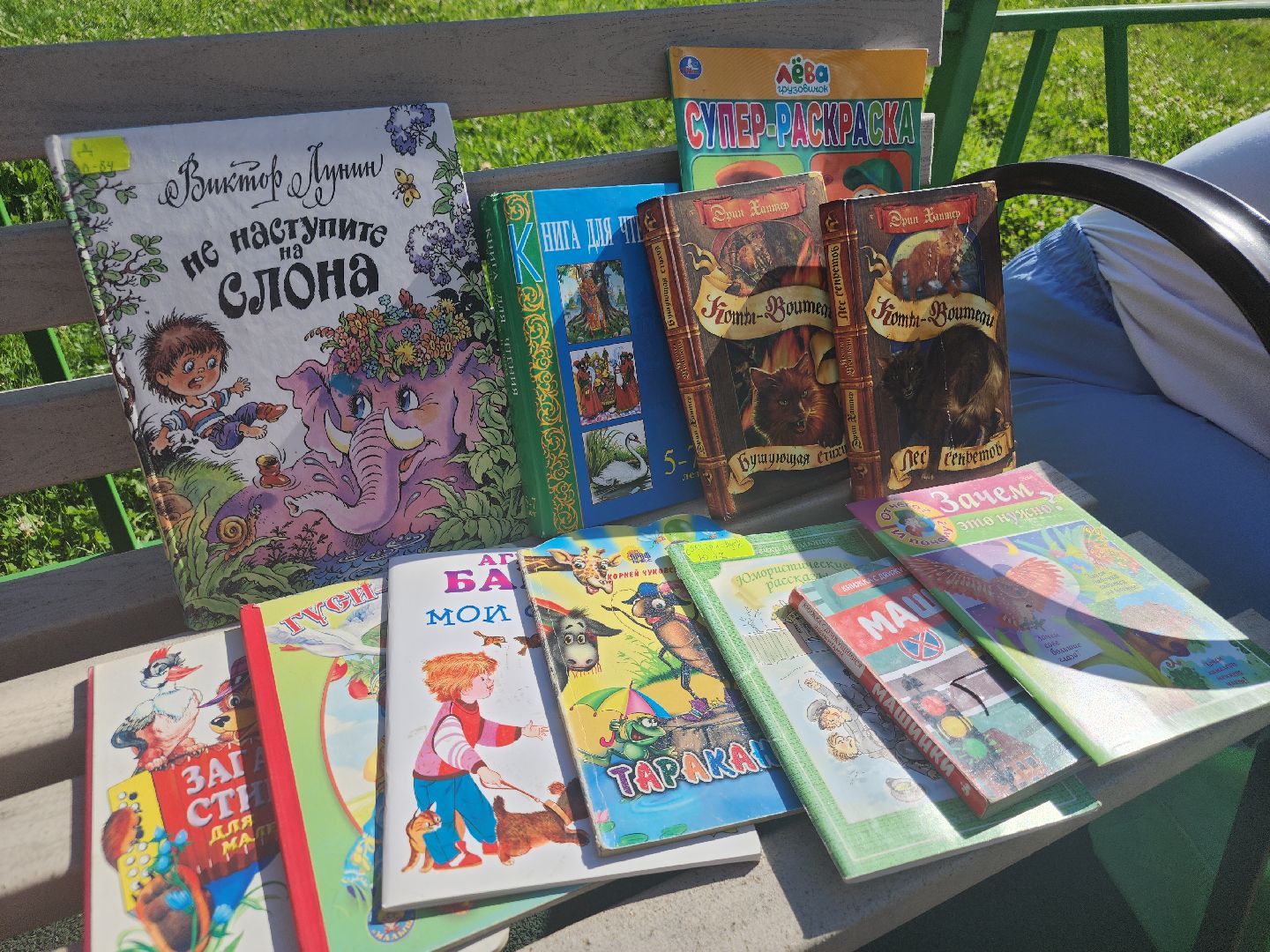 Летние читальные залы, орехово-зуевский округ,