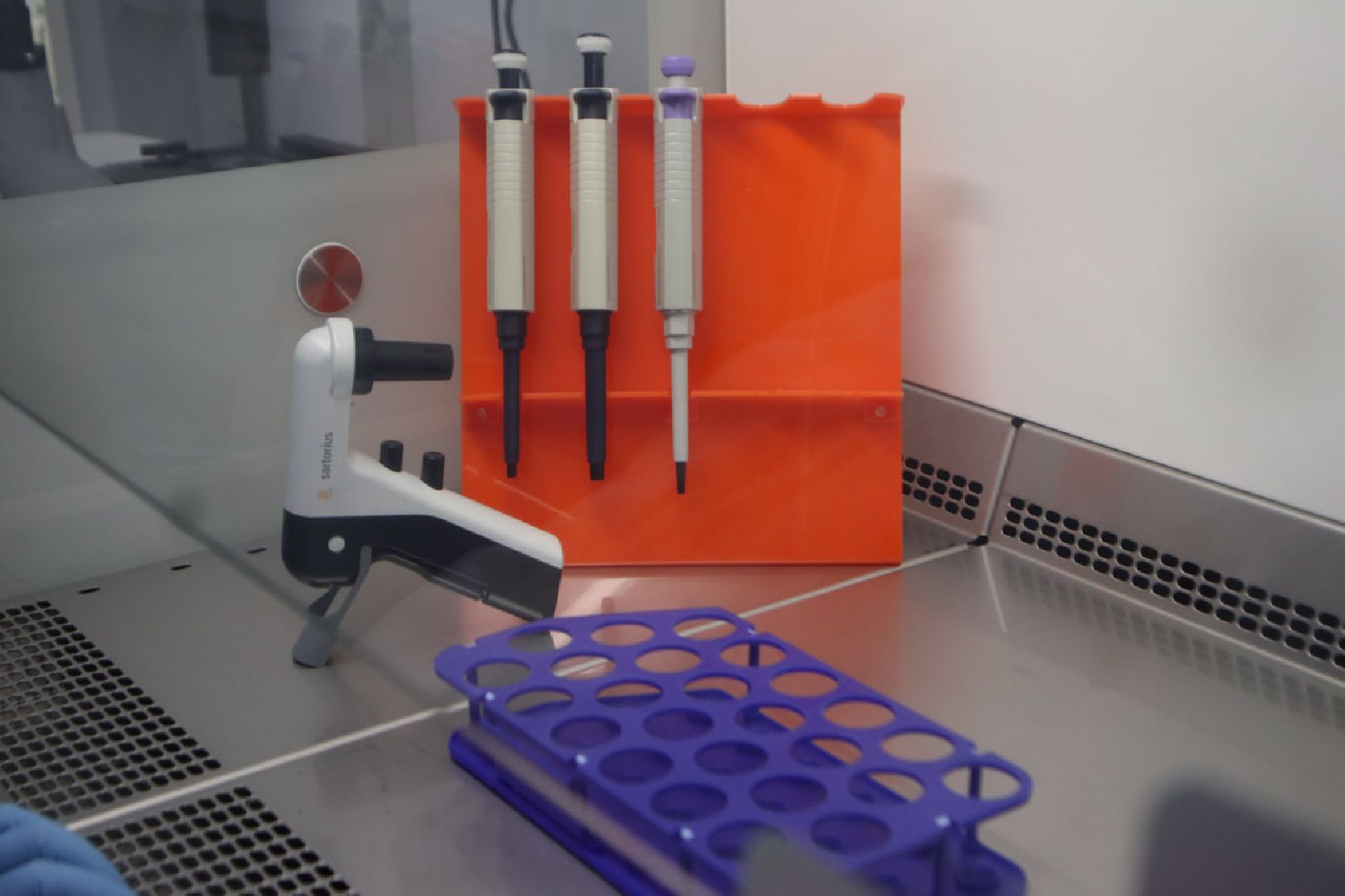 Пущино, наука, ученые, медицина, онкология