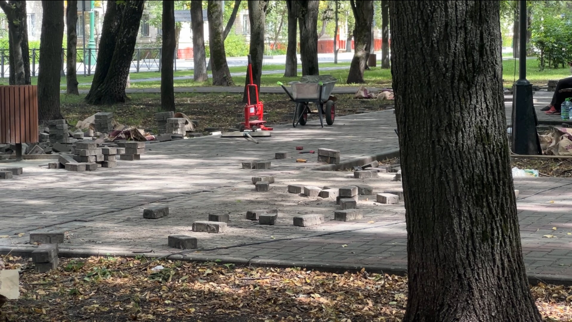 химки, благоустройство, сквер,